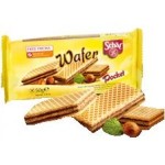 wafer