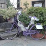 bici-fioriere – sant’antonino