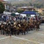 Festa_Rurale_Cevrin_Coazze_4