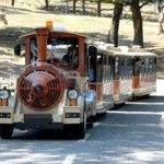 zoo-safari-park-pombia-trenino