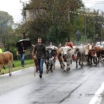 fiera agricola 2018 (2)