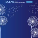 Scene_skin