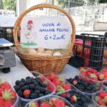 Mercatino Condove (02)