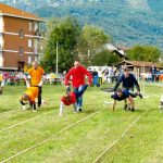 palio delle borgate 2020 h